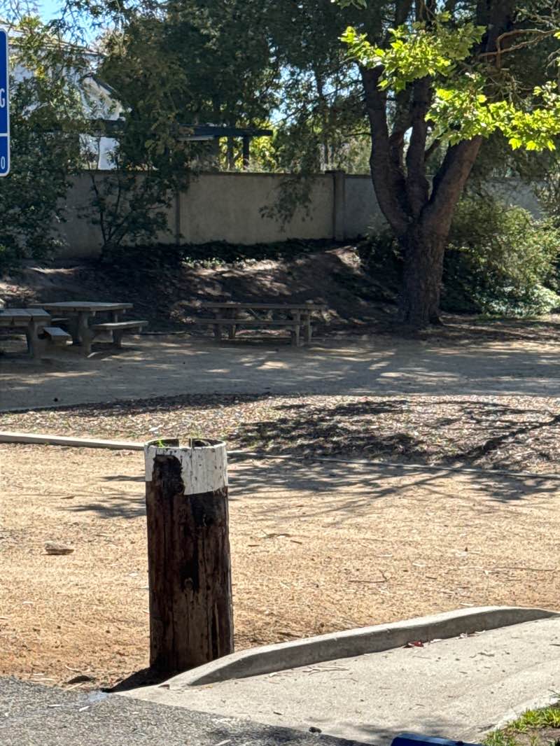 walking near me in Highridge Park in spring