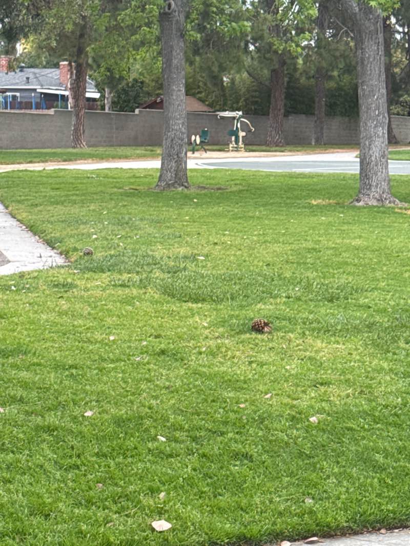 walking near me in Anaconda Park in spring