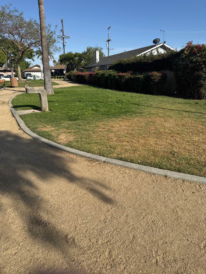 walking near me in Brookshire Children's Park in spring