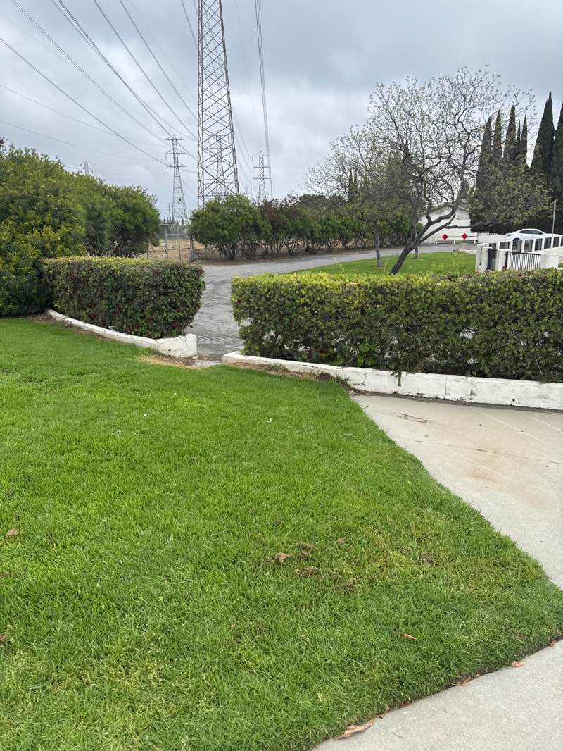 walking near me in Crawford Park in spring