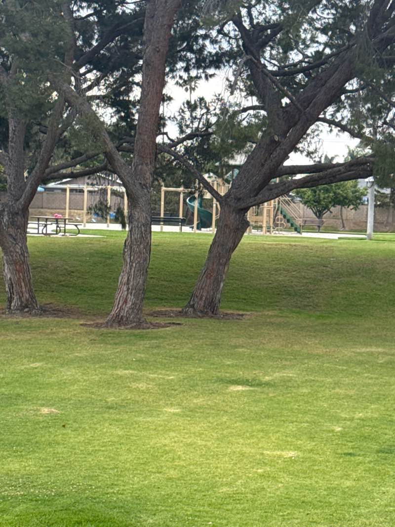 walking near me in Cherry Cove Park in spring