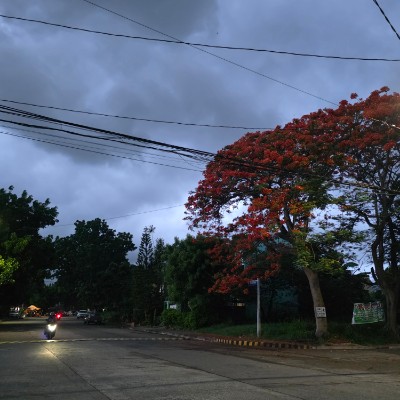 ADI BGC Fitness Enthusiasts 😁 Grace B post image