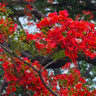 ADI BGC Fitness Enthusiasts 😁 Grace B post image