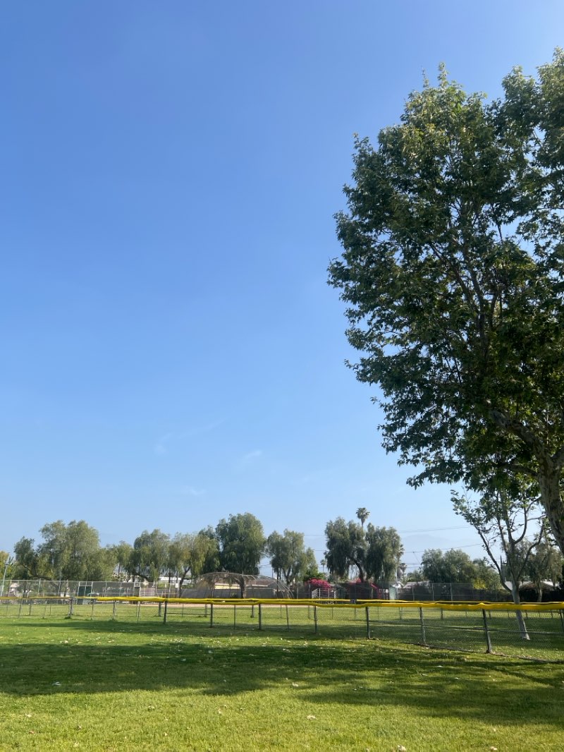 walking near me in San Fernando Recreation Park in spring