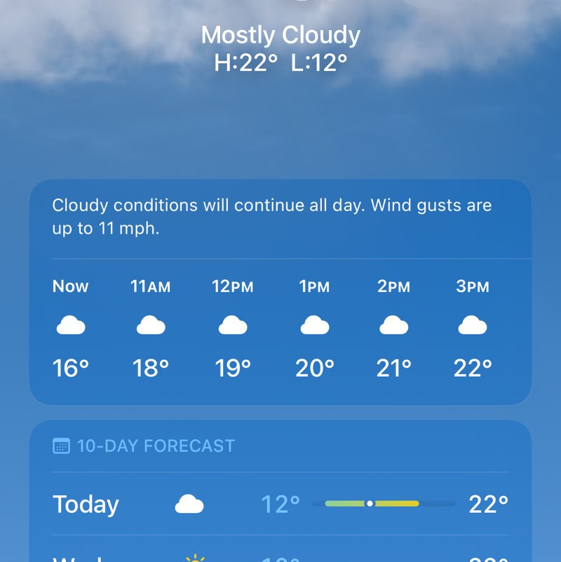 Trailblazers Thumi 🖤 post image