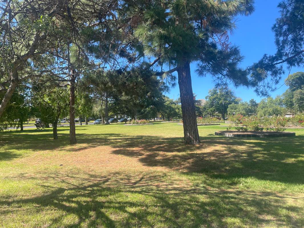 walking near me in Ron Robertson Rose Garden in autumn