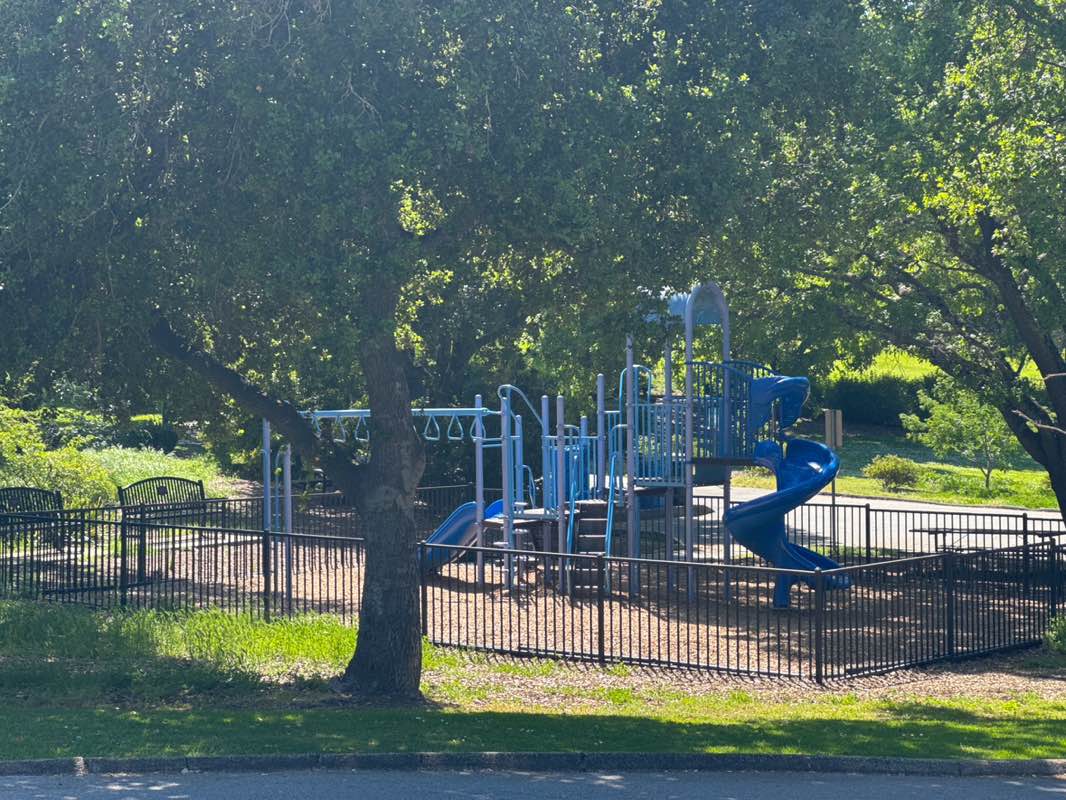 walking near me in Sharon Park in spring