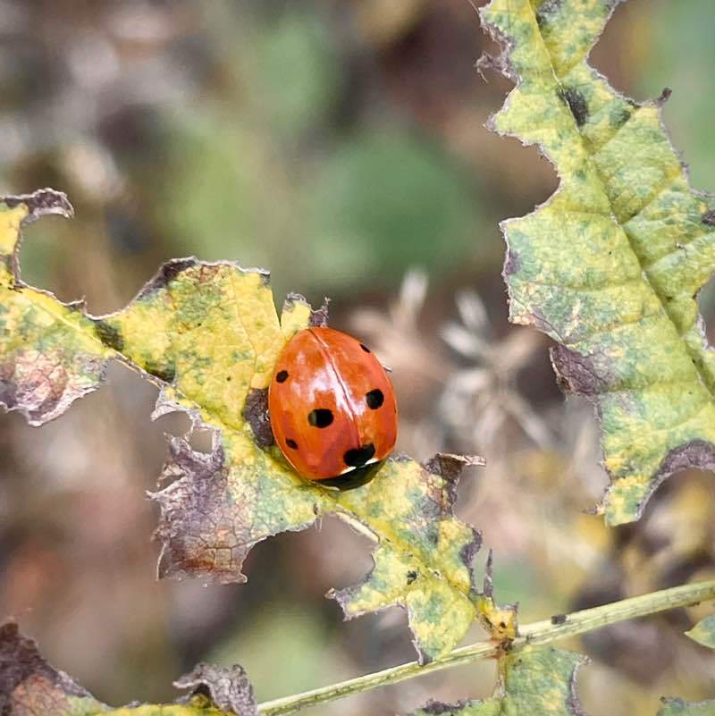 Наталля post 1