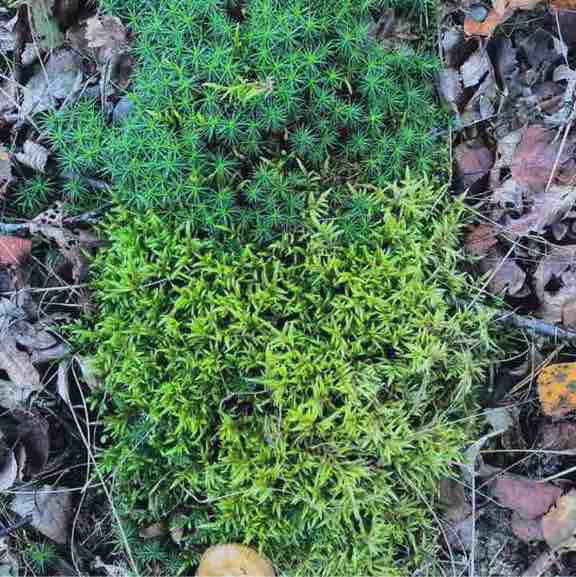 Наталля post 1