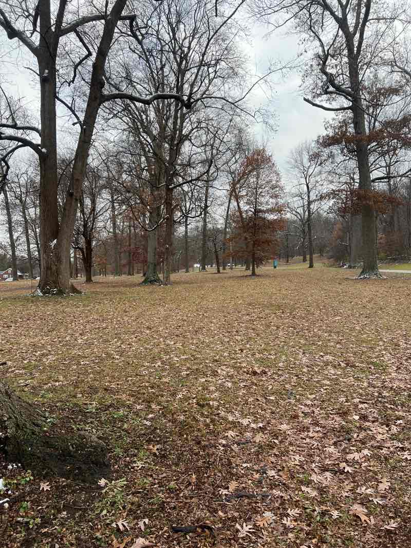 walking near me in Iroquois Park in winter