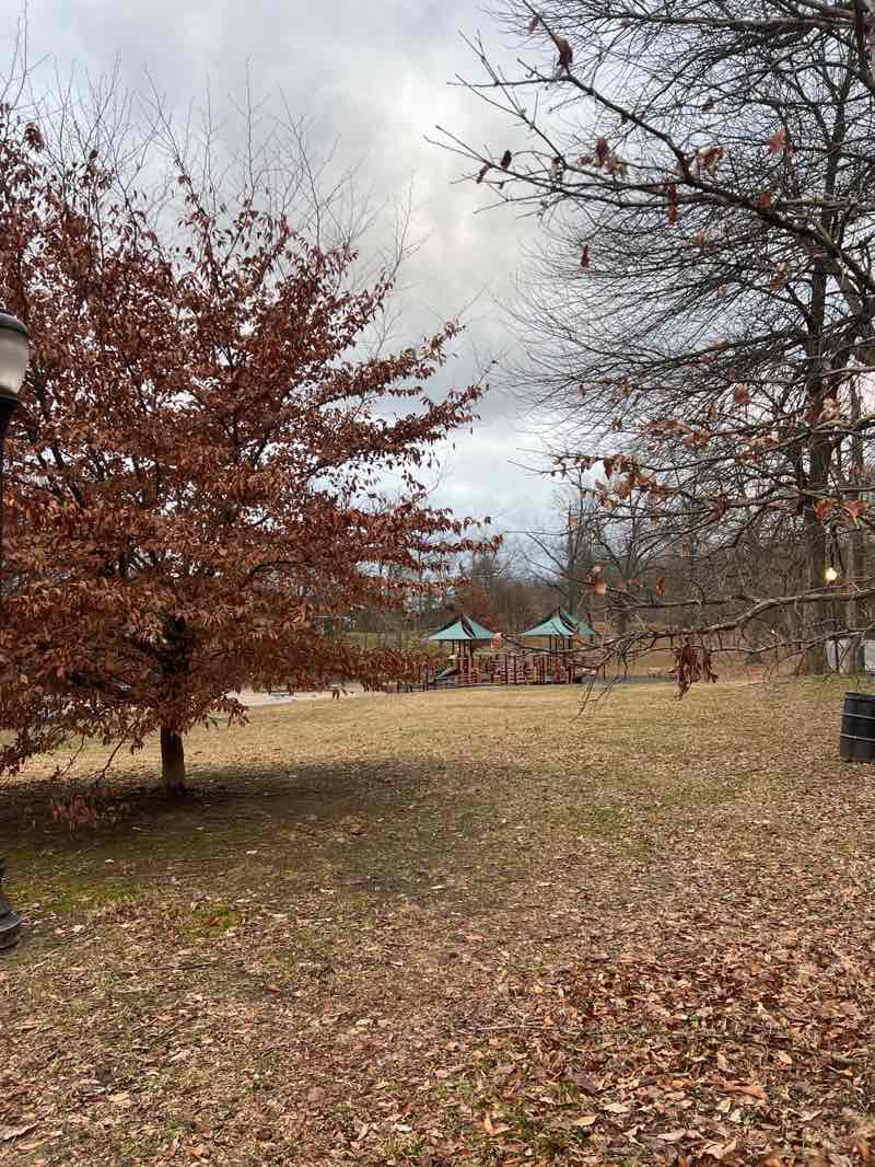 walking near me in Iroquois Park in winter