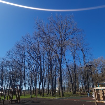 ГПУ Ольга Х post image