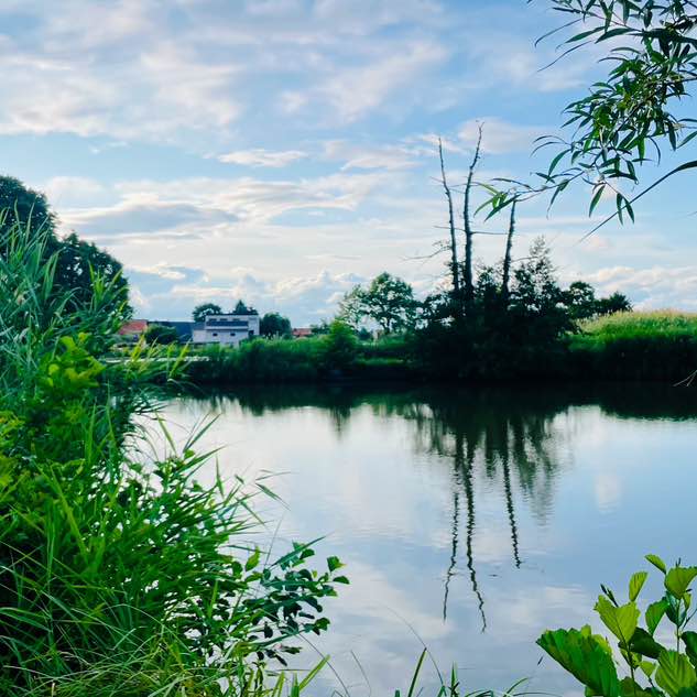 Erlangen Mallu Walkers Cyna post image