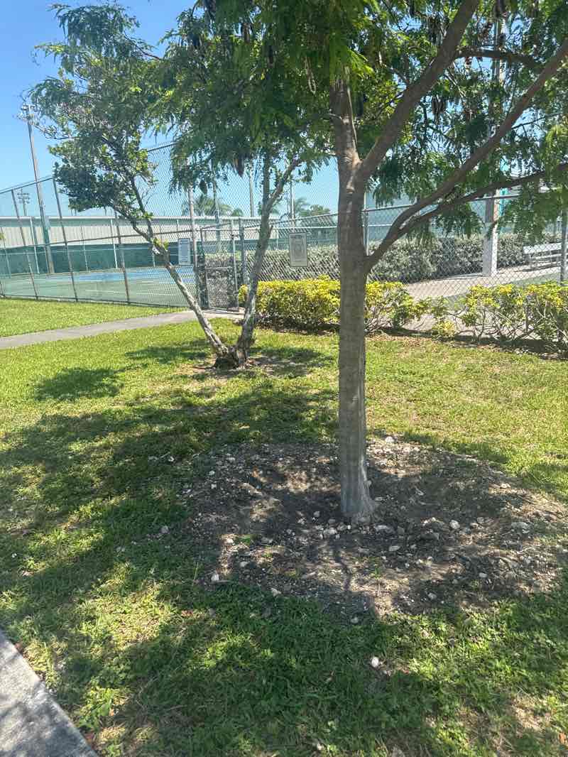 walking near me in Benny Babcock Park in spring