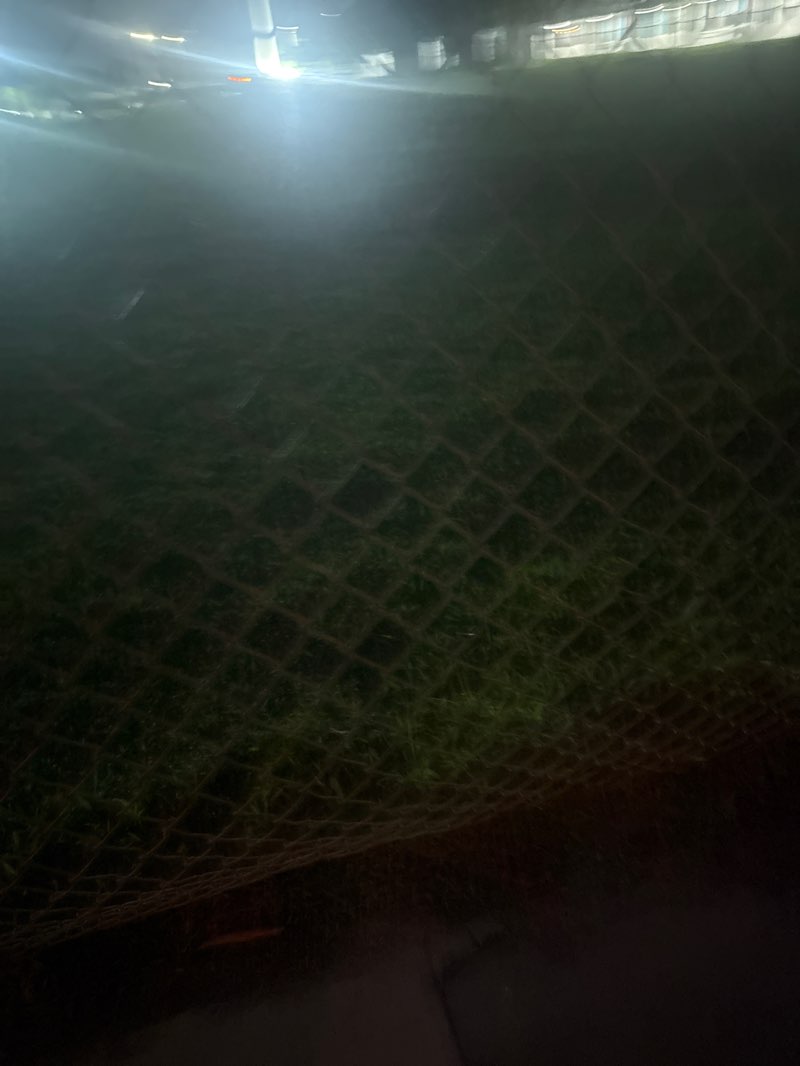 walking near me in Bright Park in summer