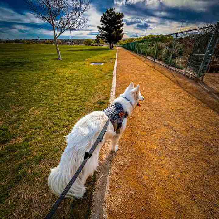 Andria Suarez post 1