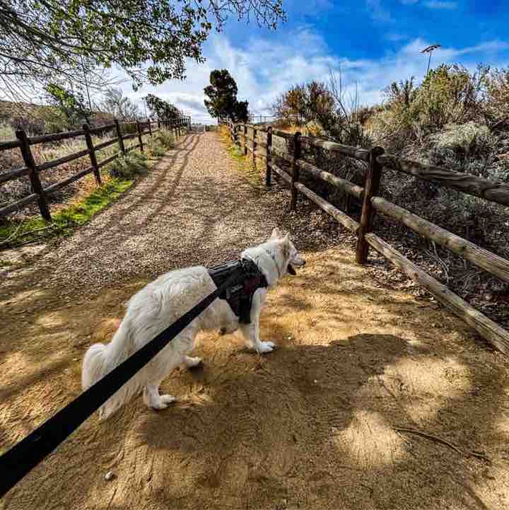 Andria Suarez post 1