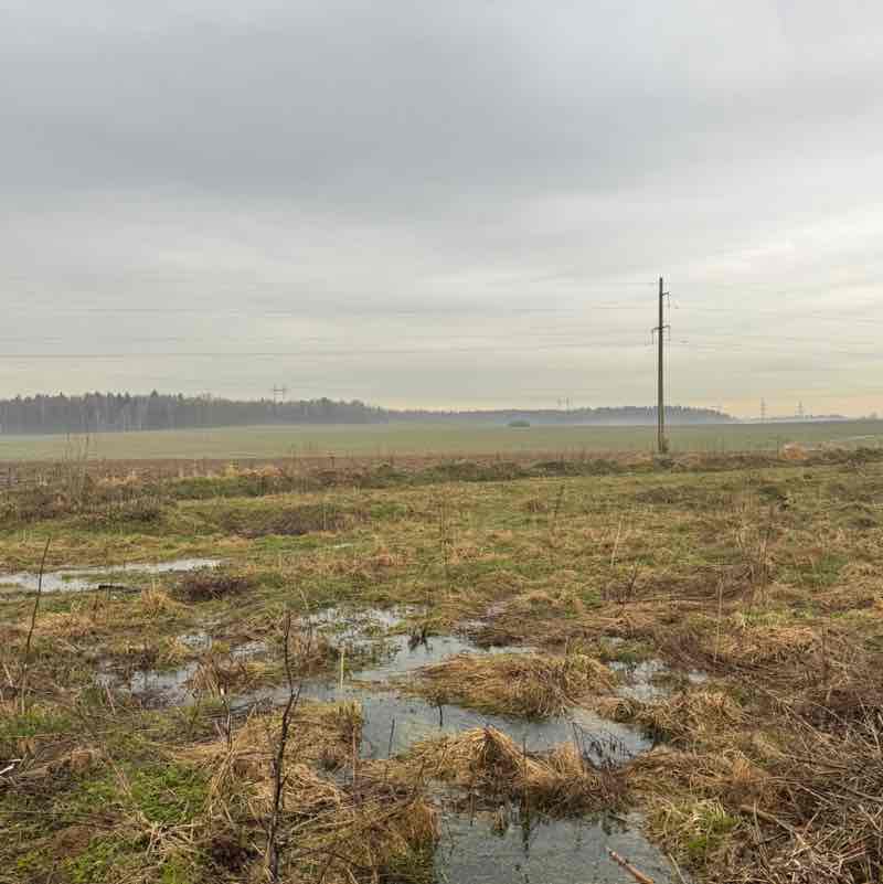 СпецДорПроект Терентьева Надежда post image