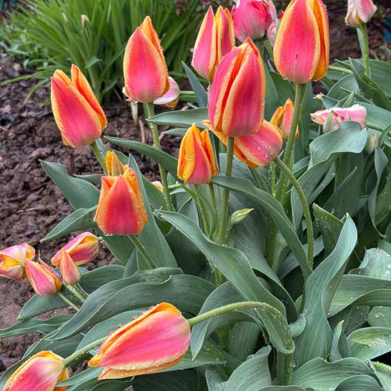 СпецДорПроект Терентьева Надежда post image