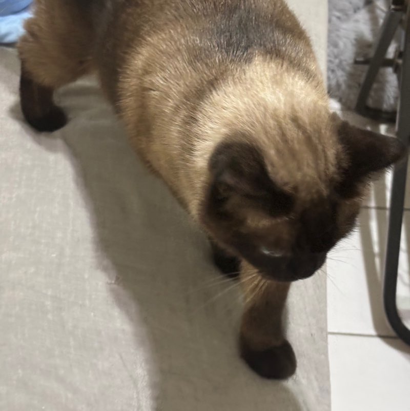 藥劑科-蘇恆瑤-343234 profile