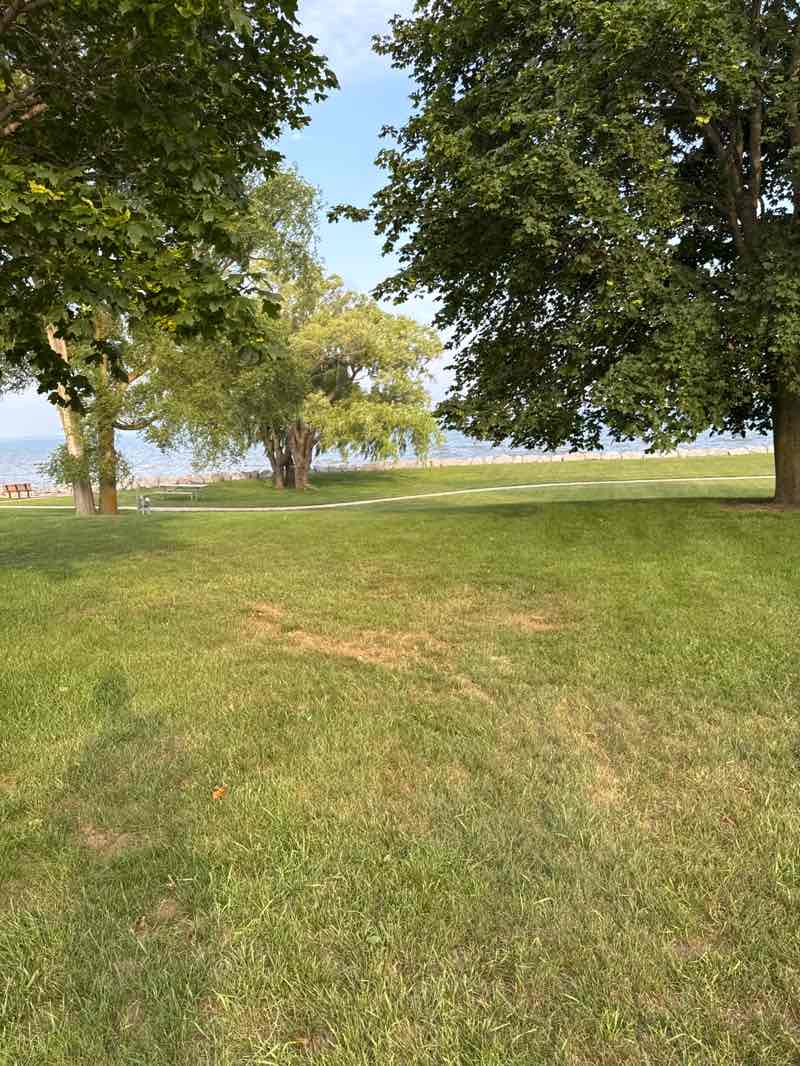 walking near me in Tawas City Park in summer