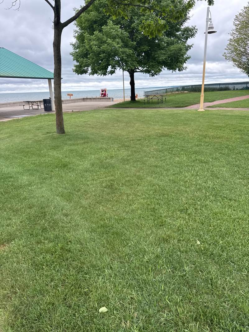 walking near me in East Tawas City Park in summer