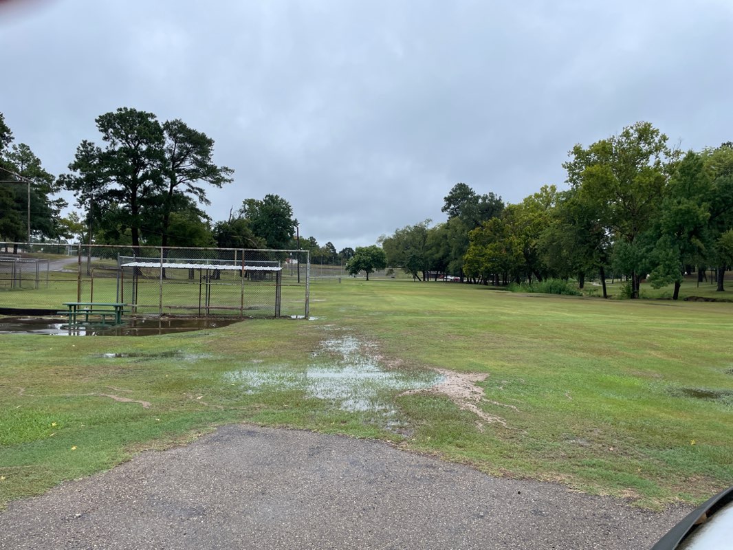 walking near me in Dellwood Park in autumn