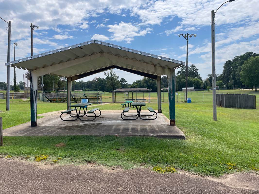 walking near me in King Park in autumn