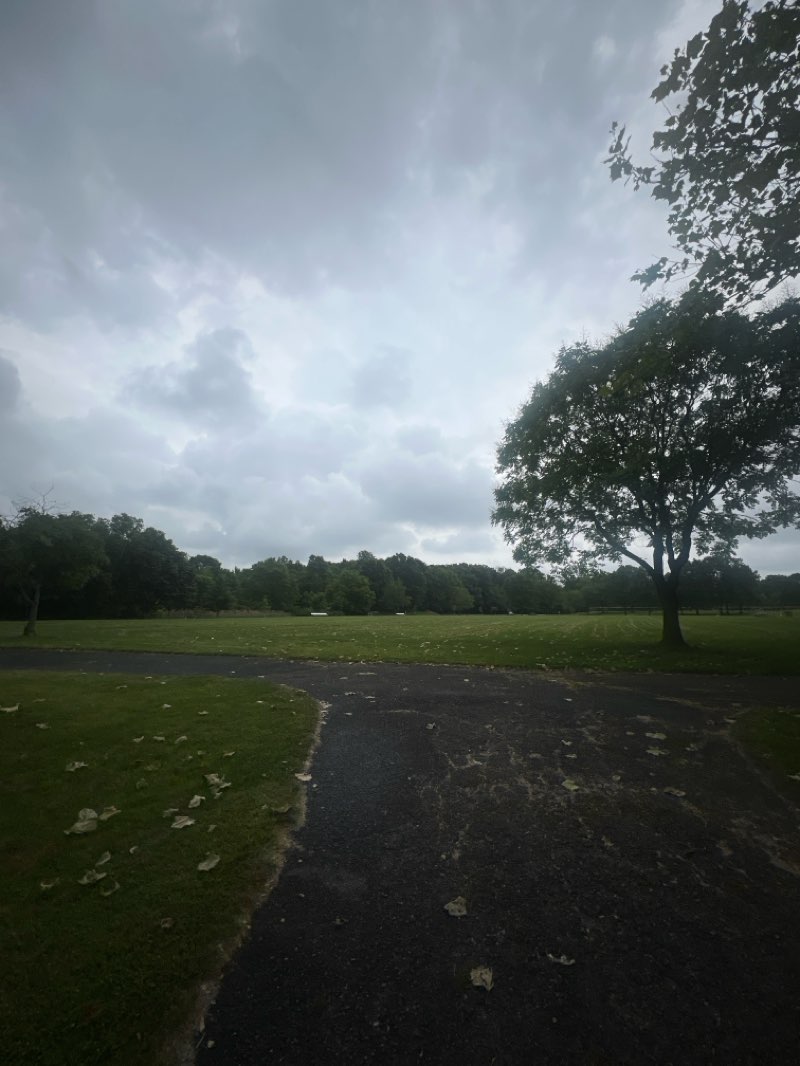 walking near me in William Warren Park in summer