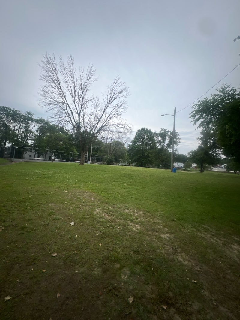 walking near me in Veterans Park Recreation Area in summer