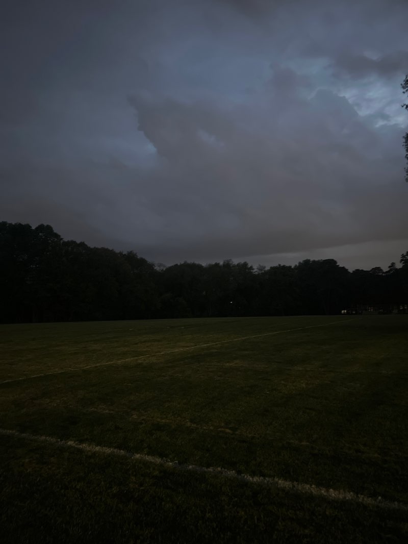 walking near me in Albert Avenue Park in spring