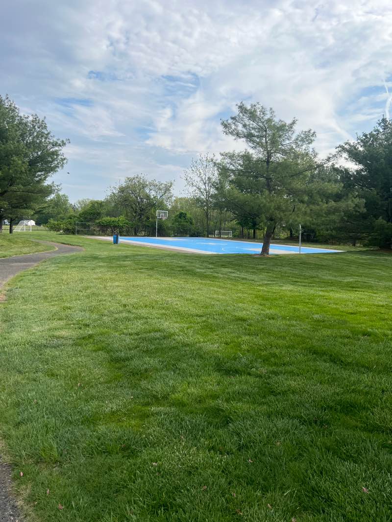 walking near me in Ackerson Park in spring