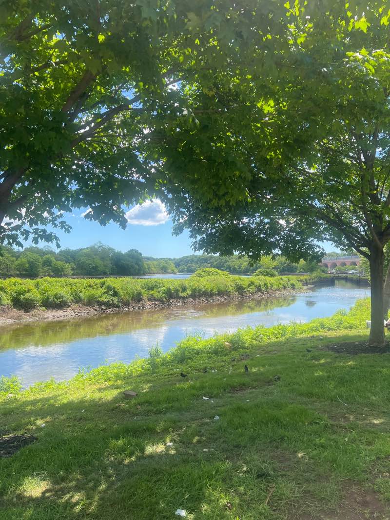 walking near me in Boyd Park in spring