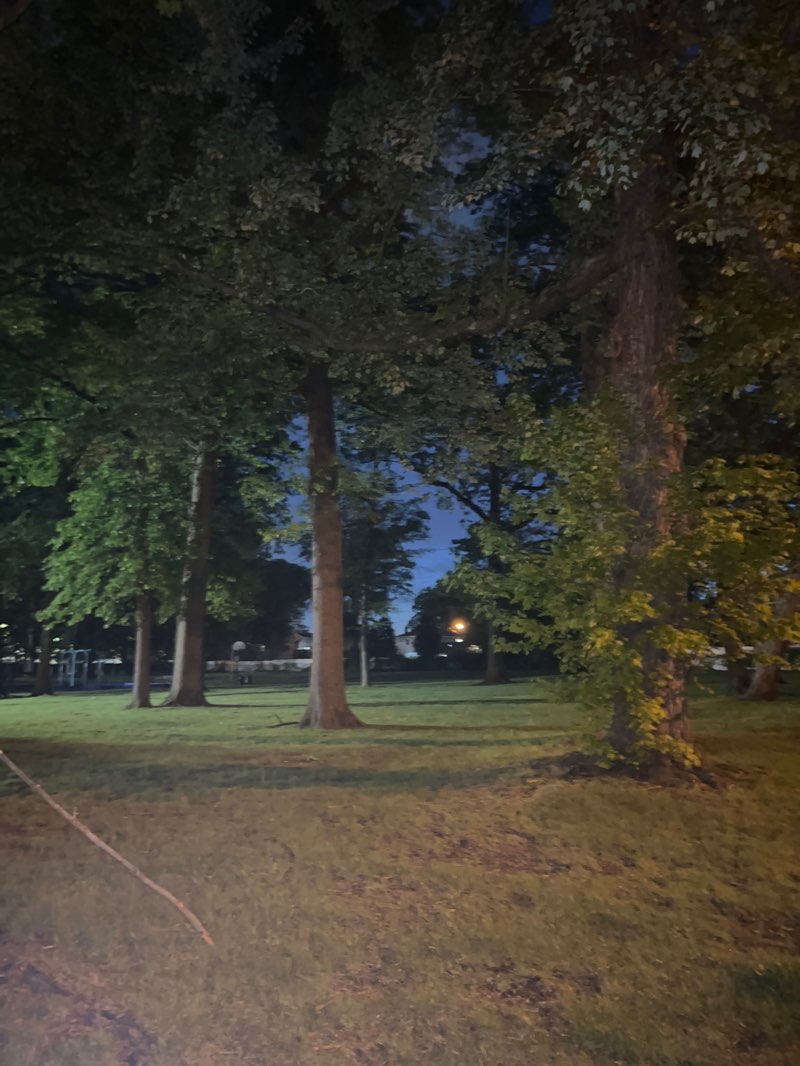 walking near me in Hermann Park in spring