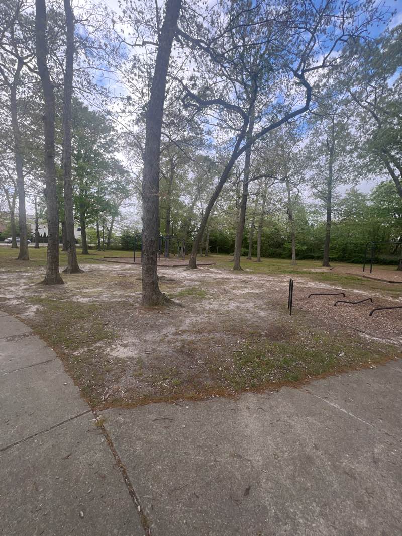 walking near me in Woodland Avenue Park in spring