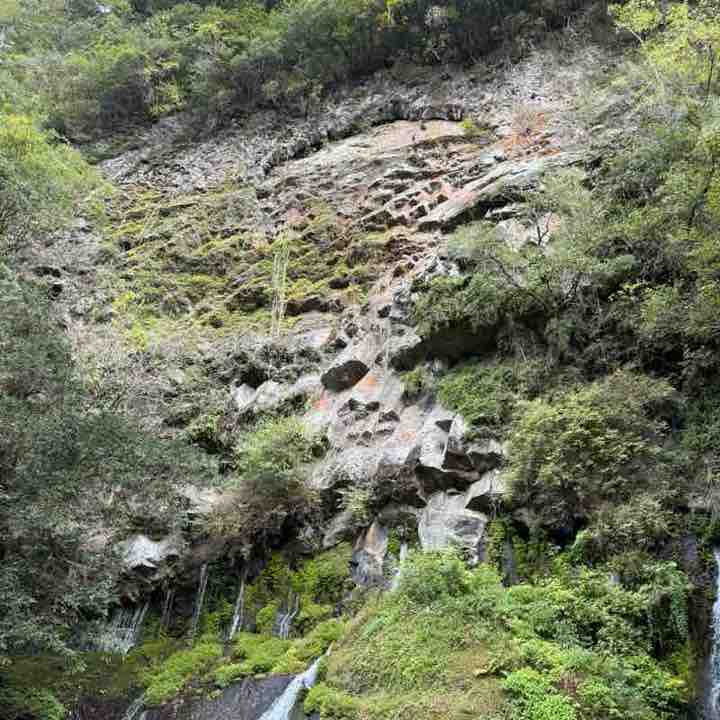 福岡、よかとこ隊(たい) Vioñago post image