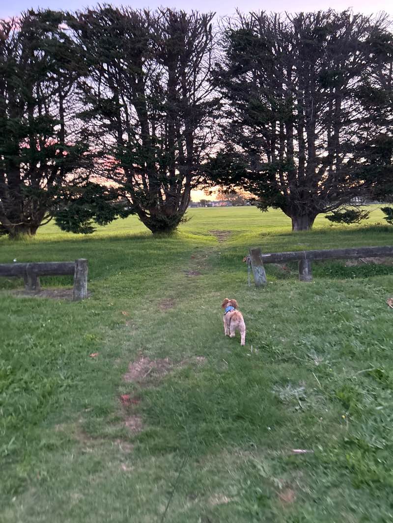 walking near me in Te Atiawa Park in autumn