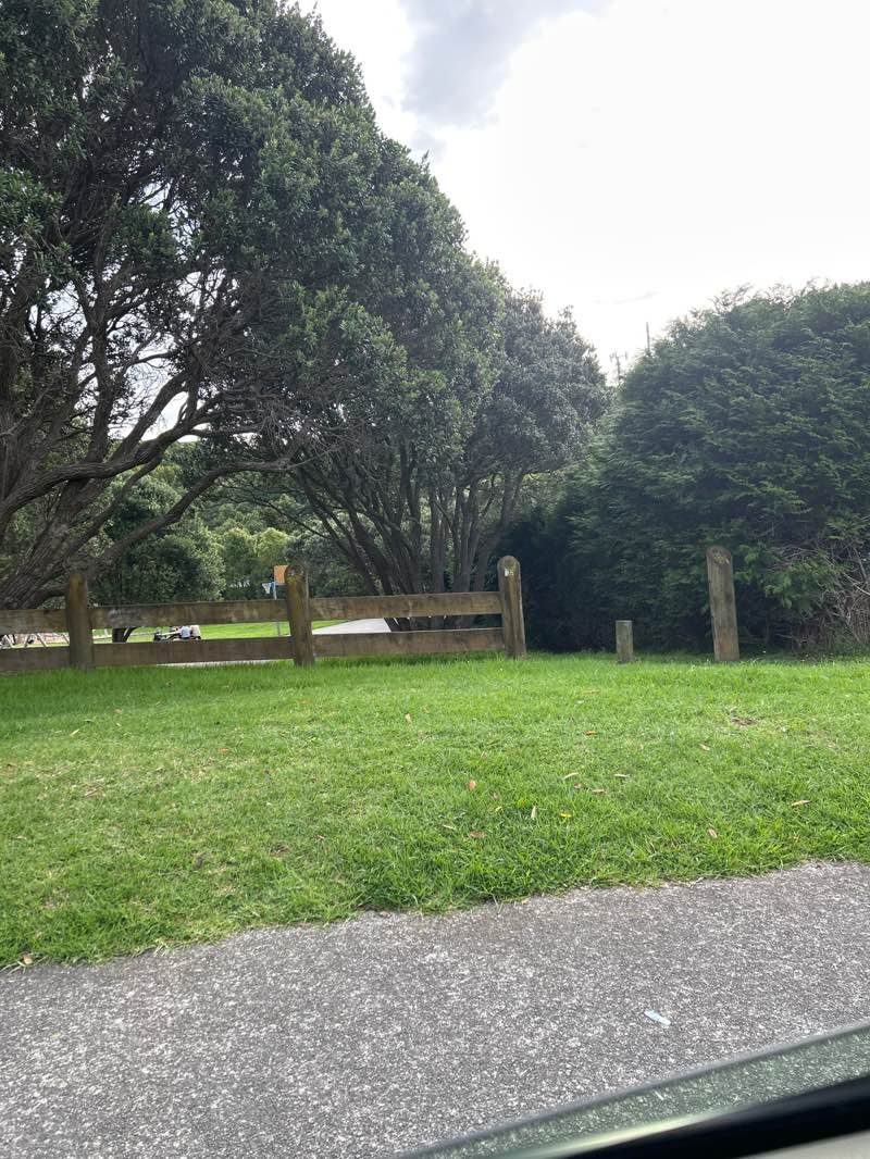 walking near me in Kaitawa Reserve in autumn