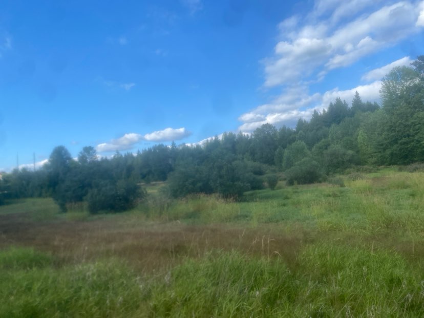 walking near me in Illahee Park Trail in summer