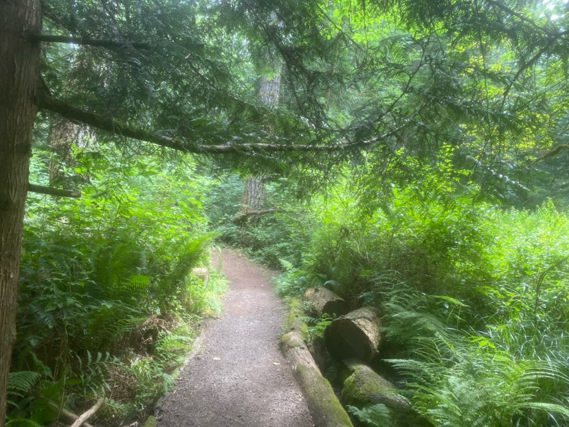 walking near me in Big Rock Park Central in summer