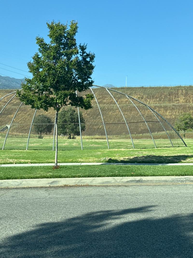 walking near me in Live Oak Park in summer