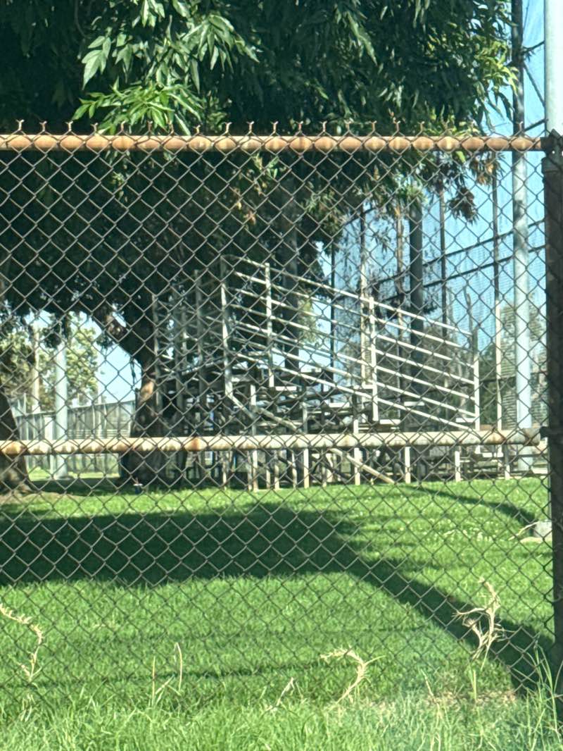 walking near me in Charter Oak Park in summer