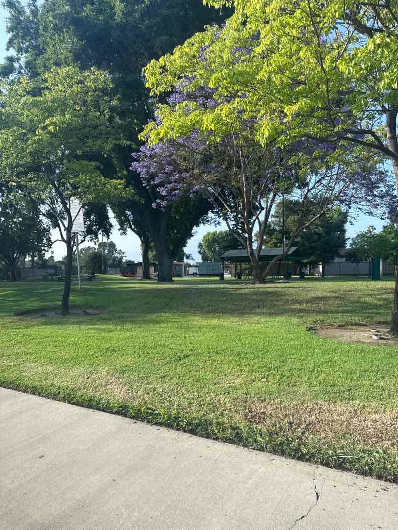 walking near me in Sally Tanner Park in summer