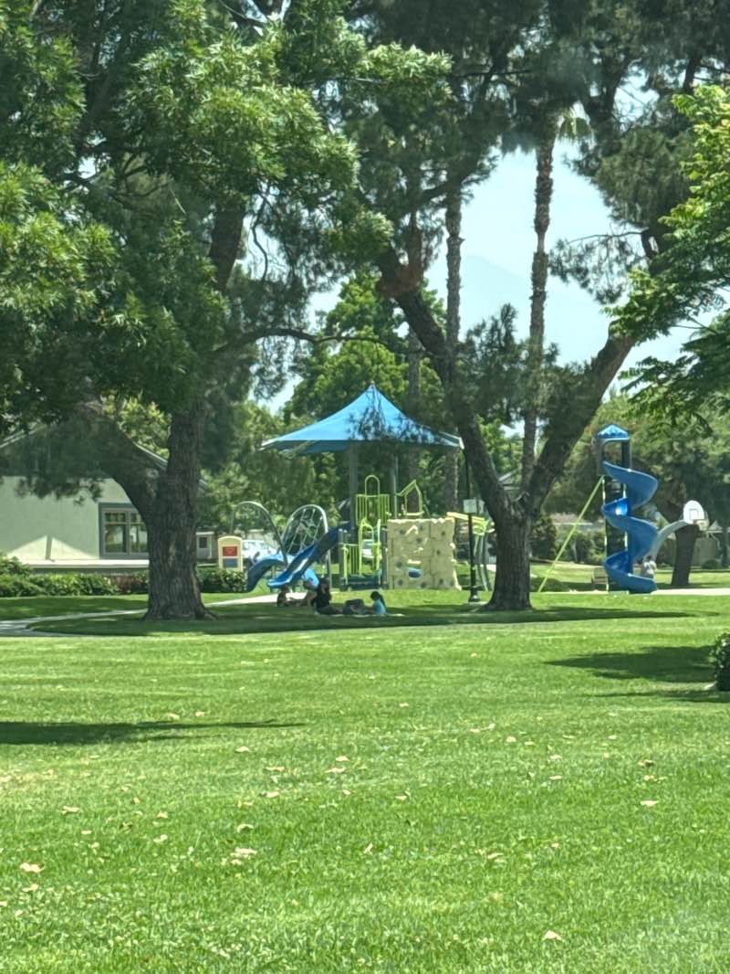 walking near me in Marchant Park in summer