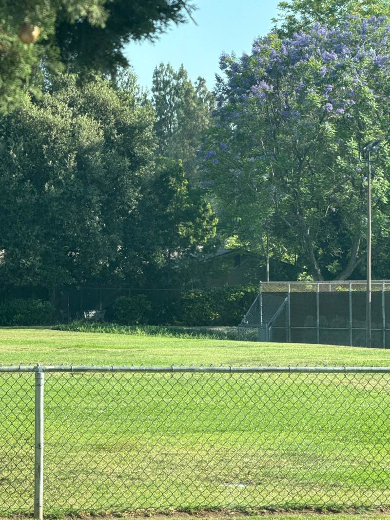 walking near me in Pioneer Park in summer