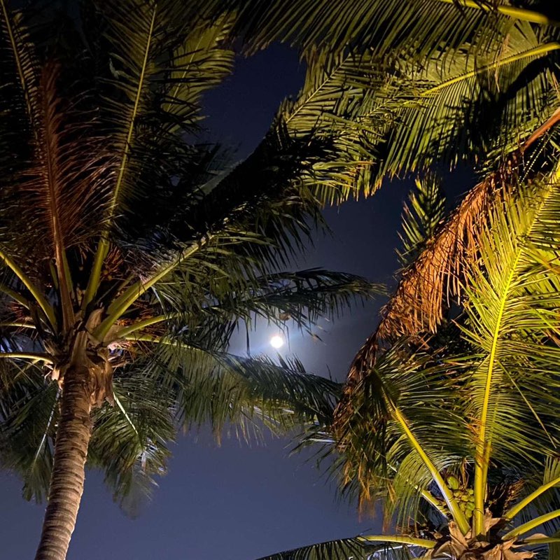 Latifa ALjassar profile