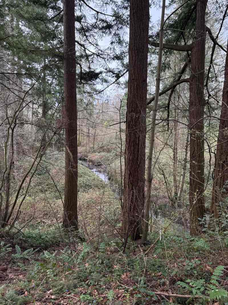 walking near me in Kane Road Park in spring