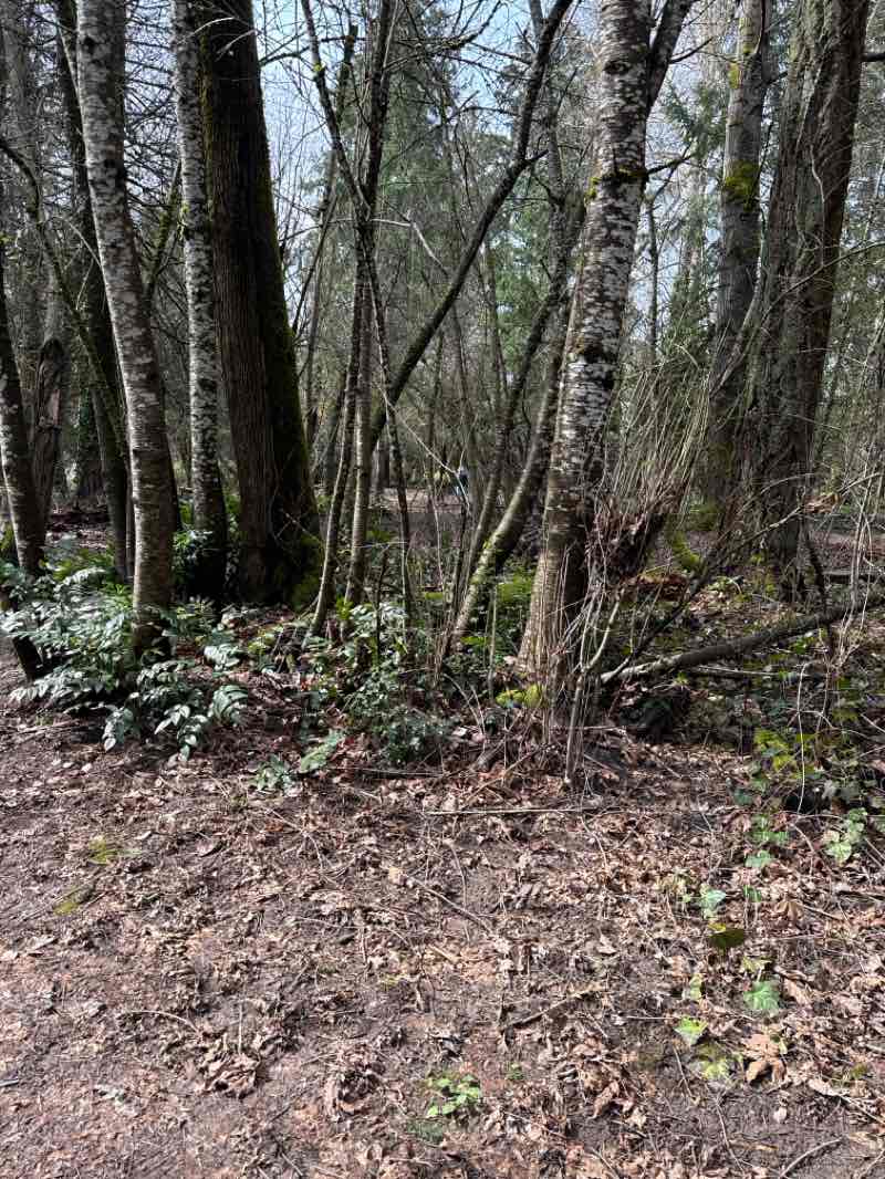 walking near me in East Butte Heritage Park in spring