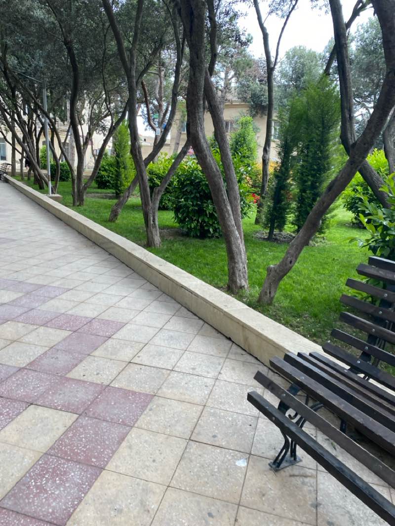 walking near me in Heydər Əliyev Parkı in spring