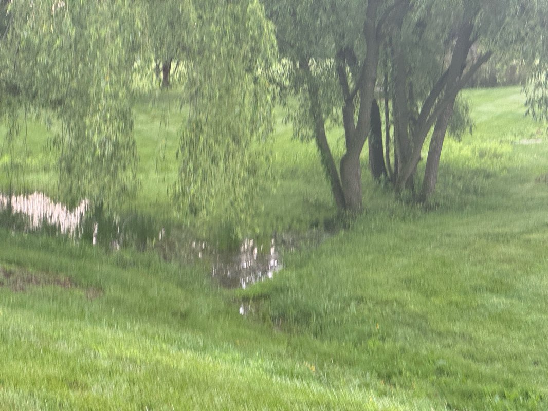 walking near me in Louise Moore Park in spring